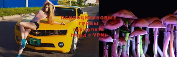 бутират Зеленодольск
