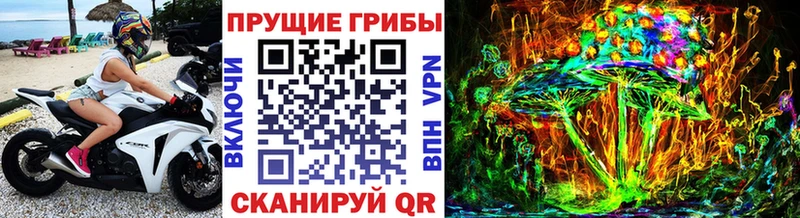купить наркотик  Калач  Псилоцибиновые грибы Cubensis 